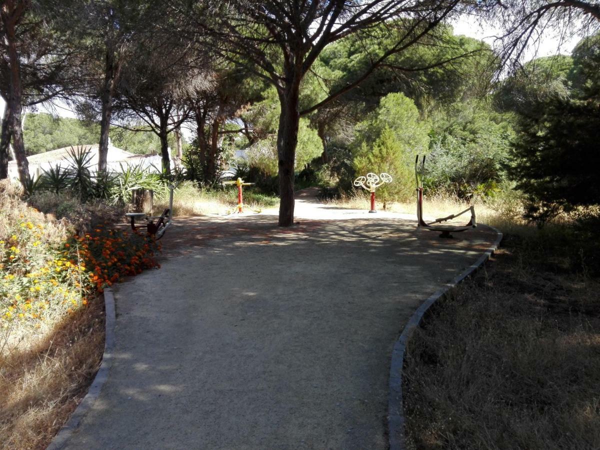 Apartamento En Los Patios De Santa Maria Golf Marbella Exteriér fotografie